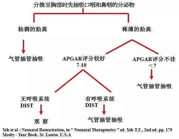 何少茹:胎粪吸入综合征发病机制和治疗现状