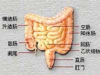 溃疡性结肠炎排什么大便