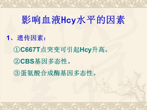 同型半胱氨酸血症