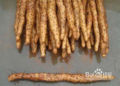 溃疡性结肠炎吃什么流食好呢