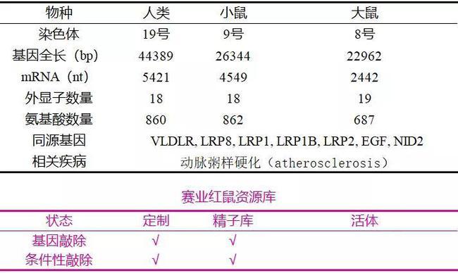 酰基辅酶A脱氢酶缺乏症