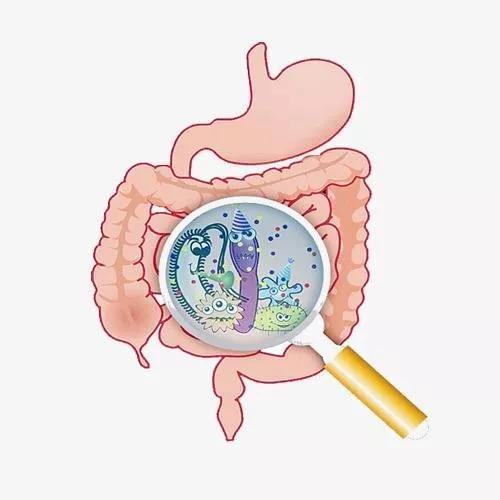 寄生虫溃疡性结肠炎