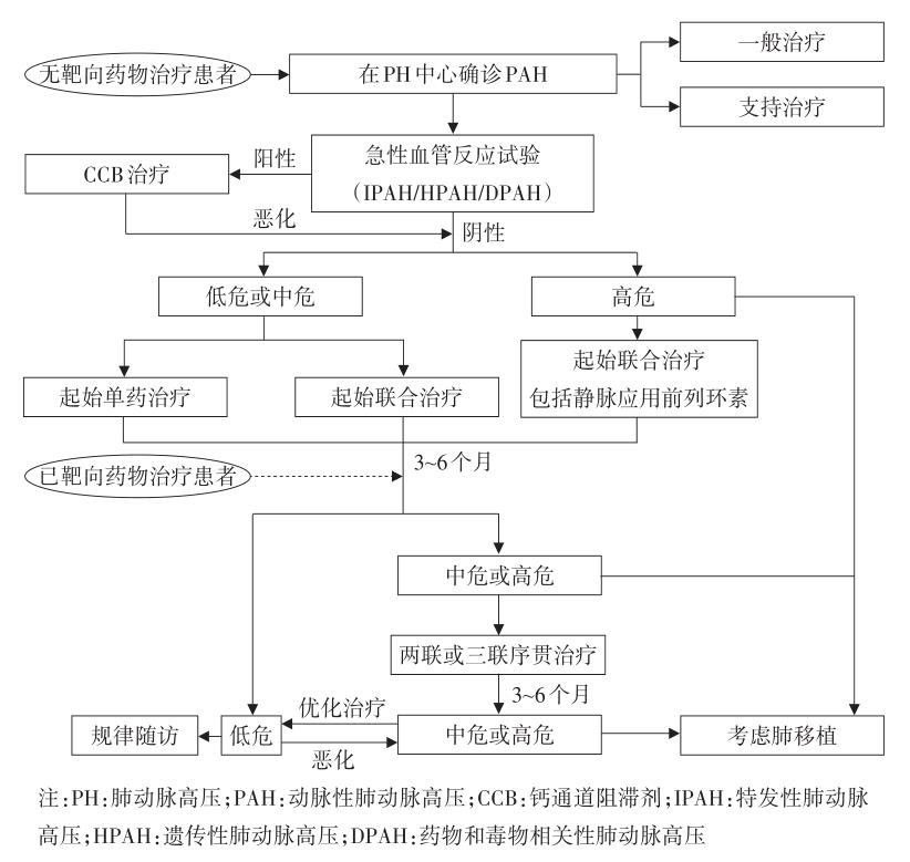 2021中国肺动脉高压诊断与治疗指南发布！丨指南共识