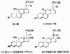 假性醛固酮增多症
