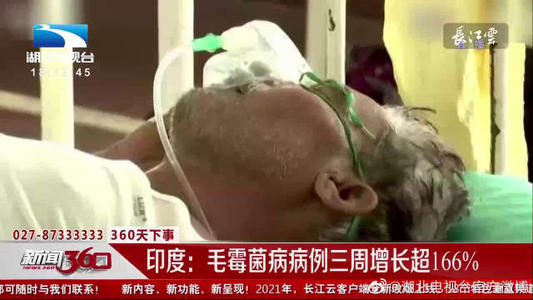 毛霉菌病