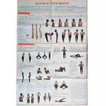 强直性脊柱炎哪些锻炼比较好