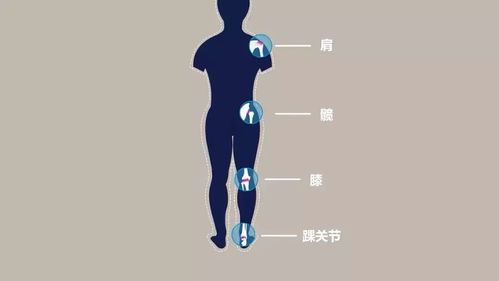 儿童慢性强直性脊柱炎
