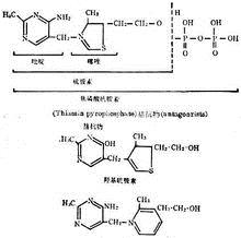 酰基辅酶A脱氢酶缺乏症