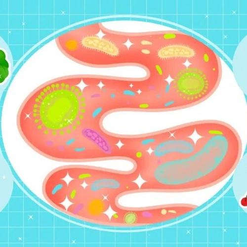 热毒炽盛型溃疡性结肠炎
