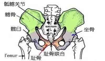 脊柱炎和强直性脊柱炎有什么不同
