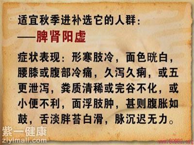 溃疡性结肠炎患者能喝枸杞茶吗
