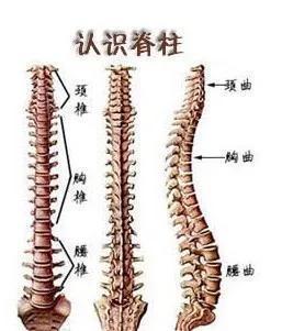 强直性脊柱炎会按压腰骶关节疼吗