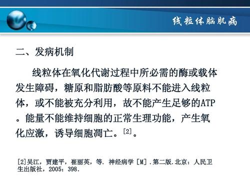 线粒体脑肌病