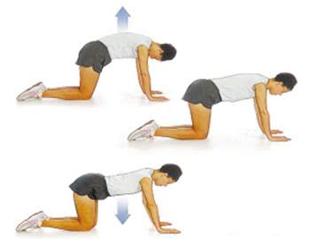 背挺直就痛强直性脊柱炎