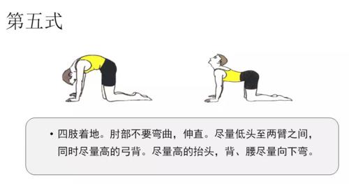 轻度强直性脊柱炎可以游泳吗