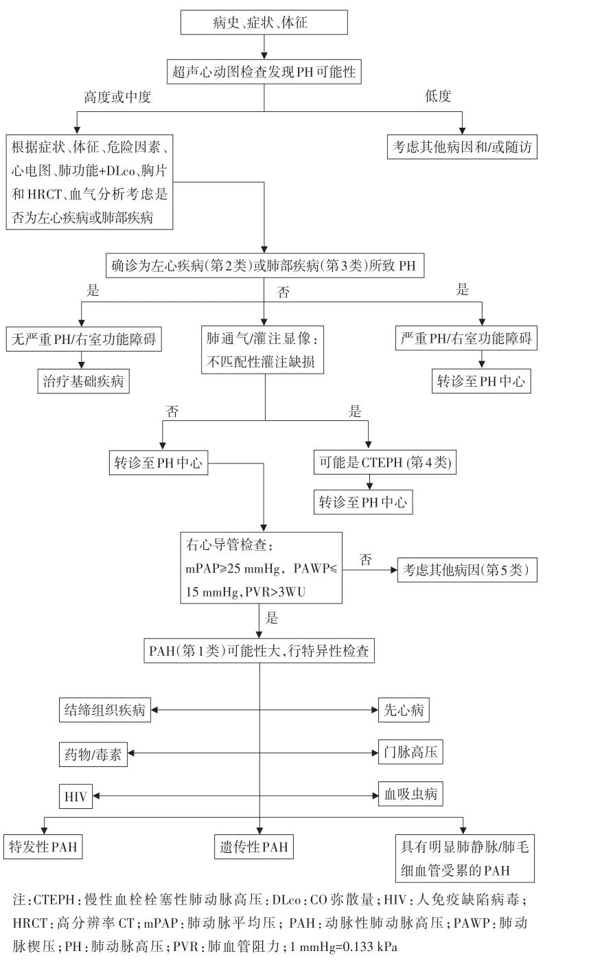 2021中国肺动脉高压诊断与治疗指南发布！丨指南共识