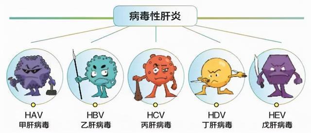丁型肝炎