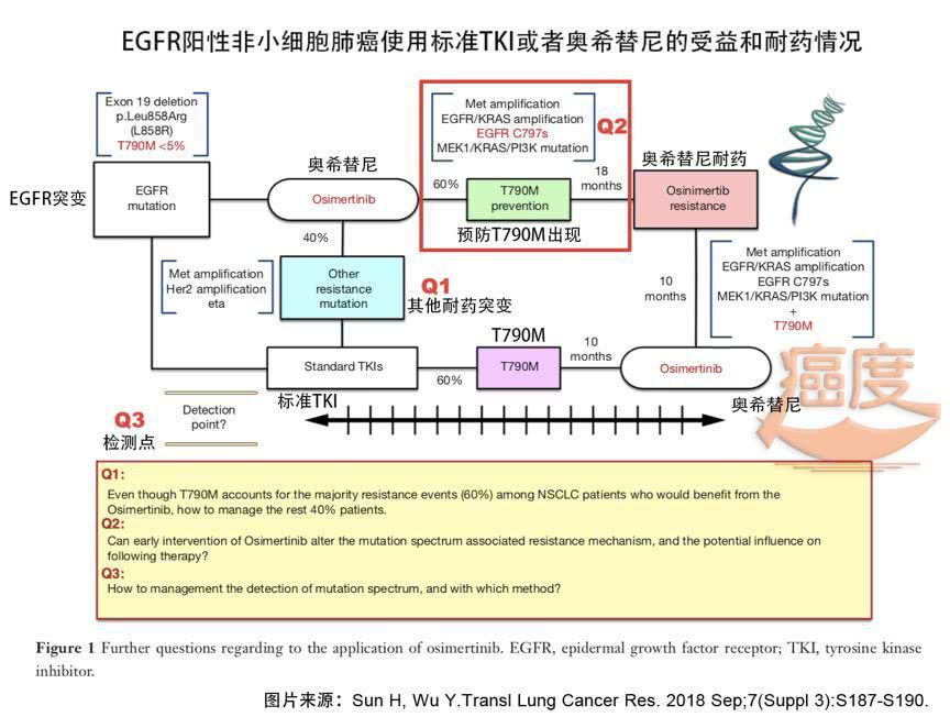 阿斯利康 奥希替尼_奥希替尼印度版怎么买_奥希替尼脉冲效果