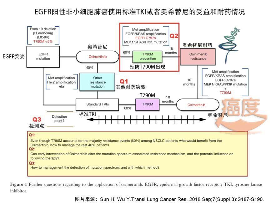 树叶从碧波荡漾到染黄凋零——奥希替尼的临床数据