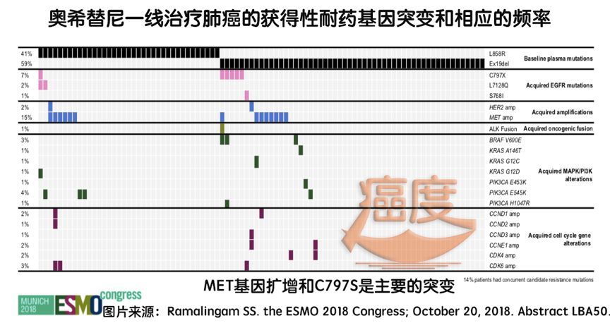 发病率和死亡人数最多的肿瘤-肺癌，是无数患者的梦魇