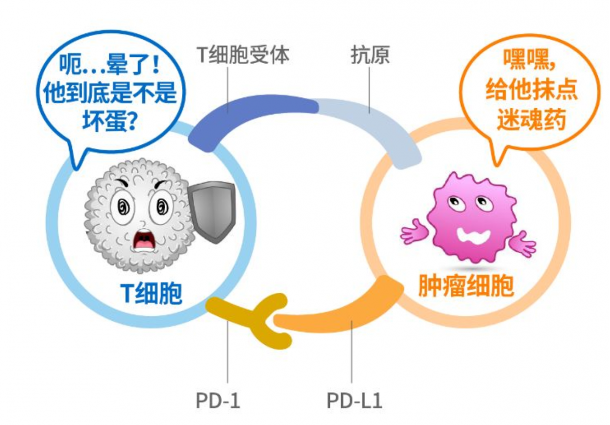 贝伐珠单抗治疗肺腺癌_贝伐珠单抗和免疫治疗_贝伐珠单抗价格