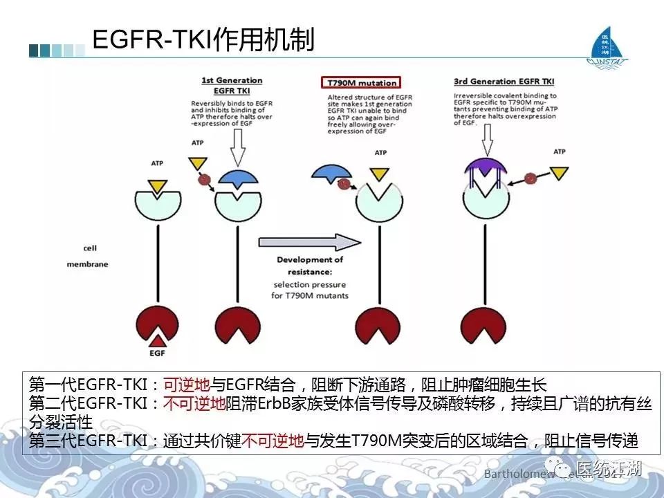 贝伐珠单抗多久用一次_贝伐单抗化疗前还是后用_贝伐珠单抗注射液