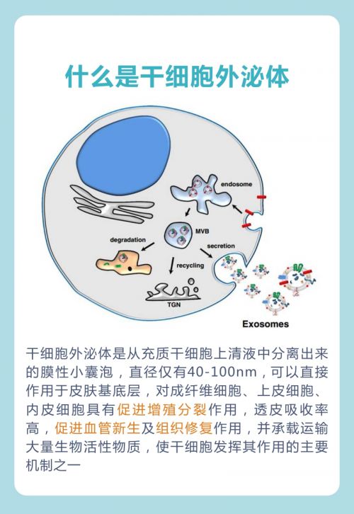 奥希替尼印度版多少钱_服用抗生素出现不良反应怎么处理_奥希替尼服用出现肺炎怎么处理