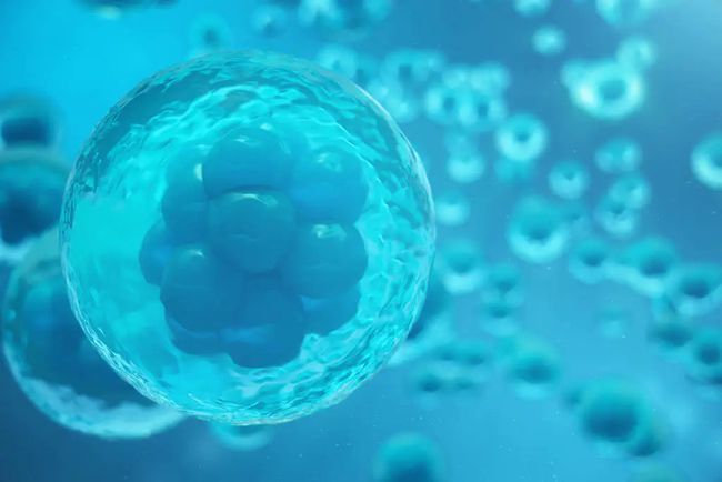TVB联合贝伐珠单抗治疗复发性胶质母细胞瘤患者的III期临床试验