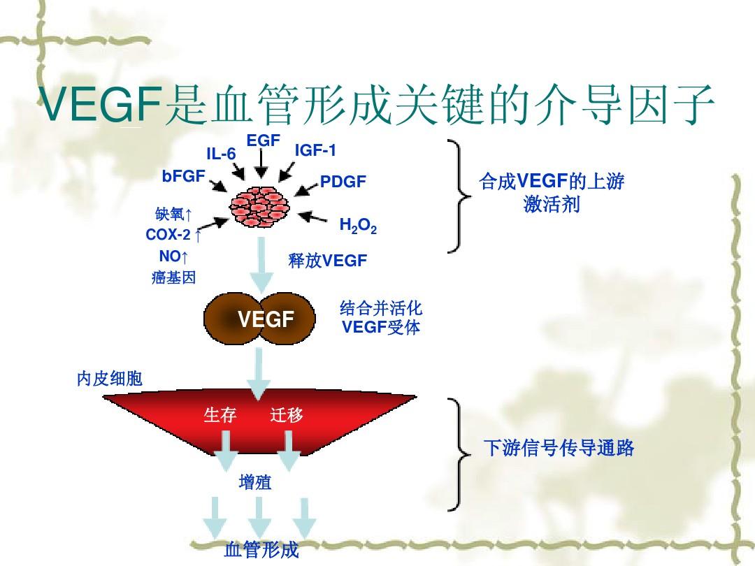 索拉非尼的耐药性_索拉非尼要做基因检测么_索拉非尼耐药