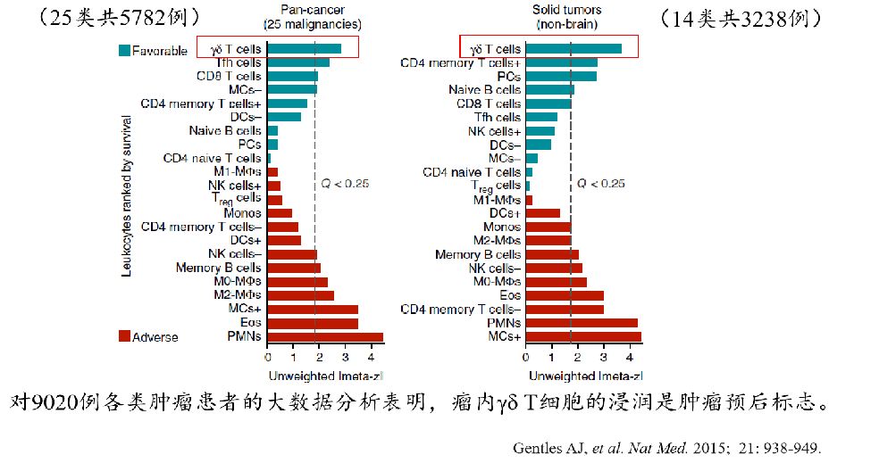 
【每日一题】抗癌新药临床研究（2006年8月第6卷）