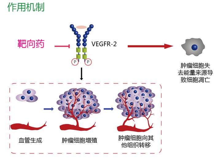 克唑替尼一般多久耐药_肺结核为什么容易耐药_吉非替尼什么类型容易耐药