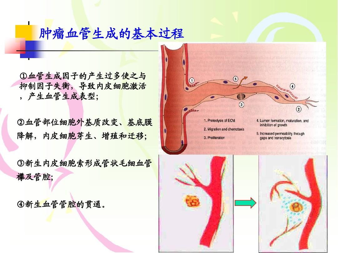 贝伐单抗用多久耐药_贝伐珠单抗耐药周期_贝伐珠单抗是化疗吗