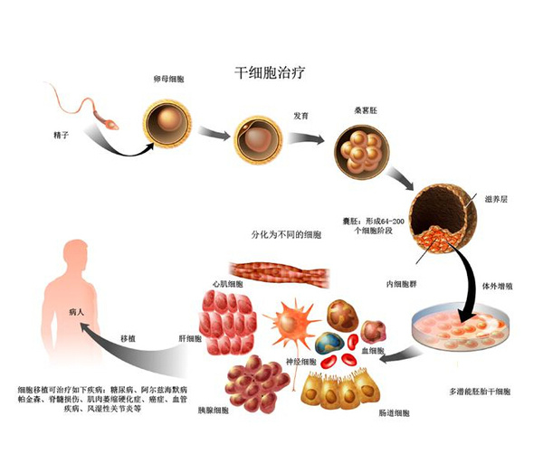 贝伐单抗用多久耐药_贝伐珠单抗耐药周期_贝伐珠单抗是化疗吗