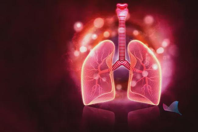 
贝伐珠单抗肺癌适应症在中国上市将用于晚期肺癌一线治疗