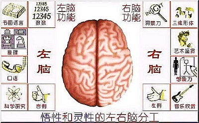 奥希替尼的MDCK-BCRP细胞流出5.4,