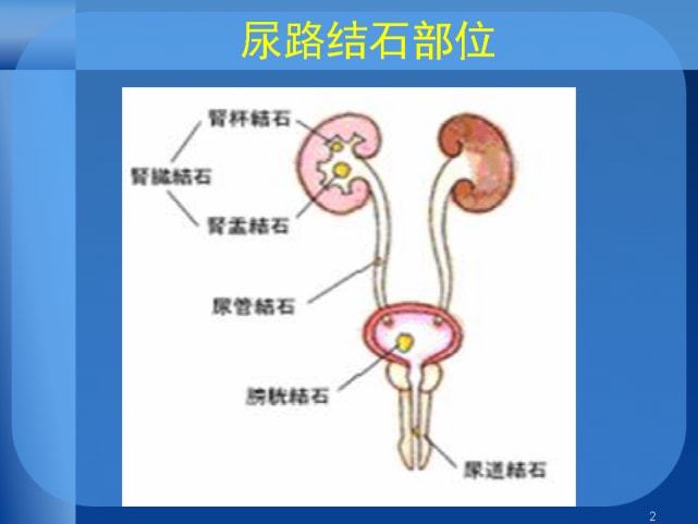 贝伐单抗联合化治疗单抗剂量治疗方法及方法解析