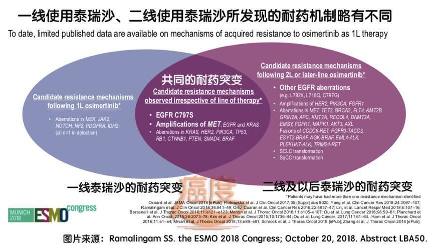 奥希替尼9291耐药的原因及耐药后用药盲试