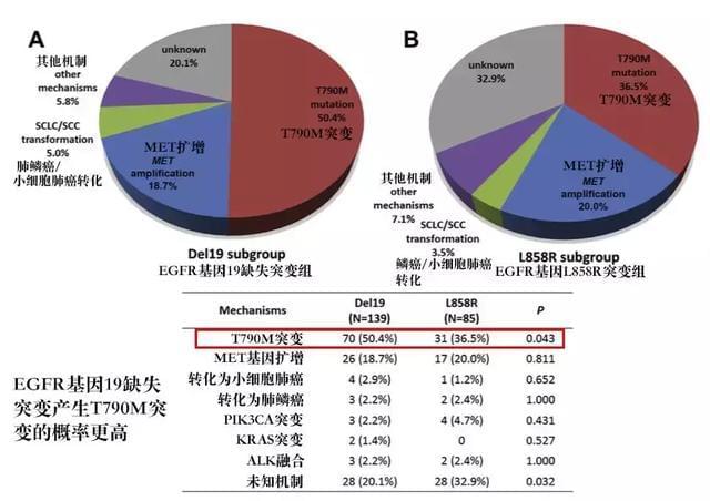 肺癌吃吉非替尼的正确方法_正确吃海参的几种方法_肺癌盐酸安罗替尼胶囊