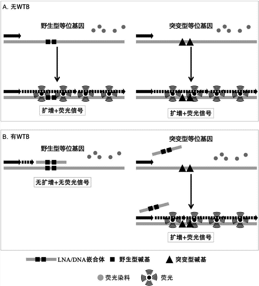 胆管性细胞癌发展速度_肝胆管结石怎样治疗好_吉非替尼治疗胆管癌