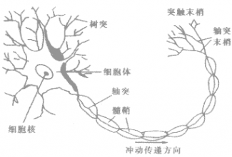 奥希替尼和贝伐珠单抗一起用好吗_贝伐珠单抗4个月后赠药_贝伐珠单抗注射液