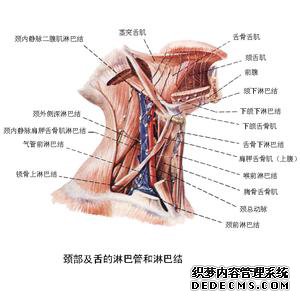 化疗两次反应很大持续七八天干呕_淋巴结转移还能放疗吗