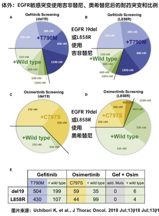 肺癌靶向新药9291耐药_肺癌鳞癌的靶向药_肺癌靶向药奥希替尼耐药时间多少