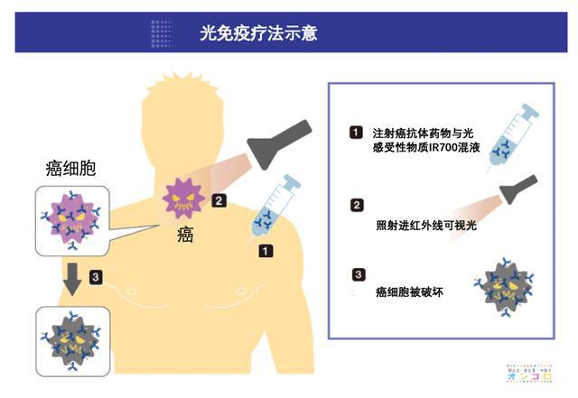 2020年国产抗体新药上市