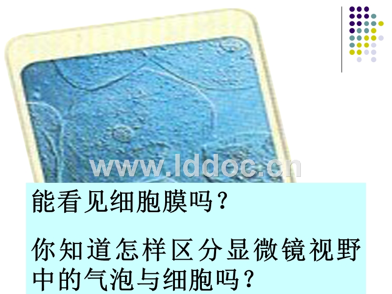 贝伐珠单抗如何生产_贝伐珠单抗可以报销吗_贝伐珠单抗是靶向药吗