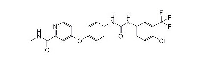 
索拉菲尼白蛋白纳米制剂及其制备方法(期)