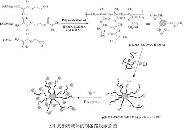 索拉非尼 说明书_索拉非尼可以引起蛋白尿不_索拉非尼肝癌辅助治疗