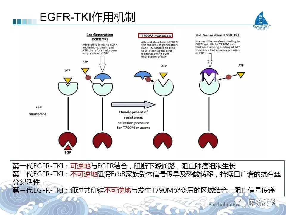 舒尼替尼一盒吃多少天?_吉普希.凡尼尔马_吃吉非替尼突变消失