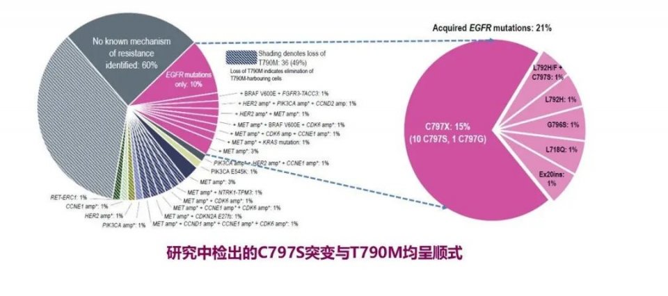 奥希替尼研究 EGFR突变阳性的非小细胞肺癌患者，如何让EGFR靶向药张牌成为制胜王牌