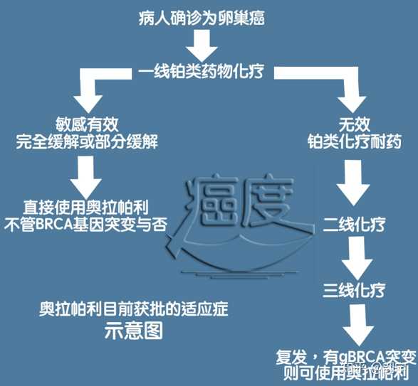 中国新发卵巢癌标记物来追踪治疗疗效，2017年正式启动