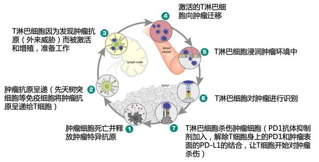 
信达生物制药在一线治疗失败的晚期/转移性食管鳞癌受试者